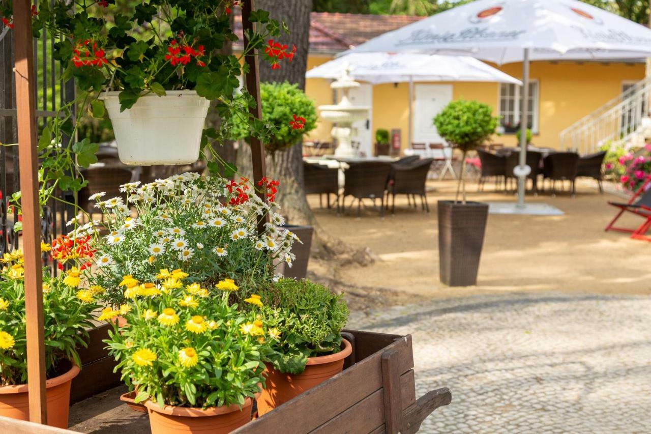פאלקנזה Hotel Kronprinz מראה חיצוני תמונה